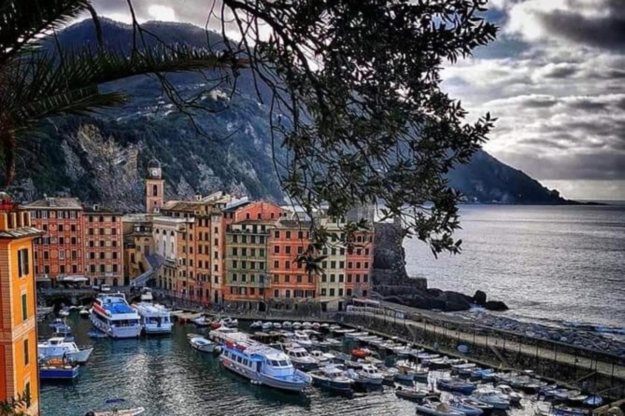 Rosablu Vacanza Tra Mare E Parco Di Portofino Camogli Exterior photo