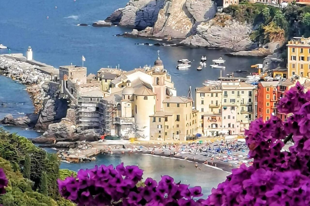 Rosablu Vacanza Tra Mare E Parco Di Portofino Camogli Exterior photo