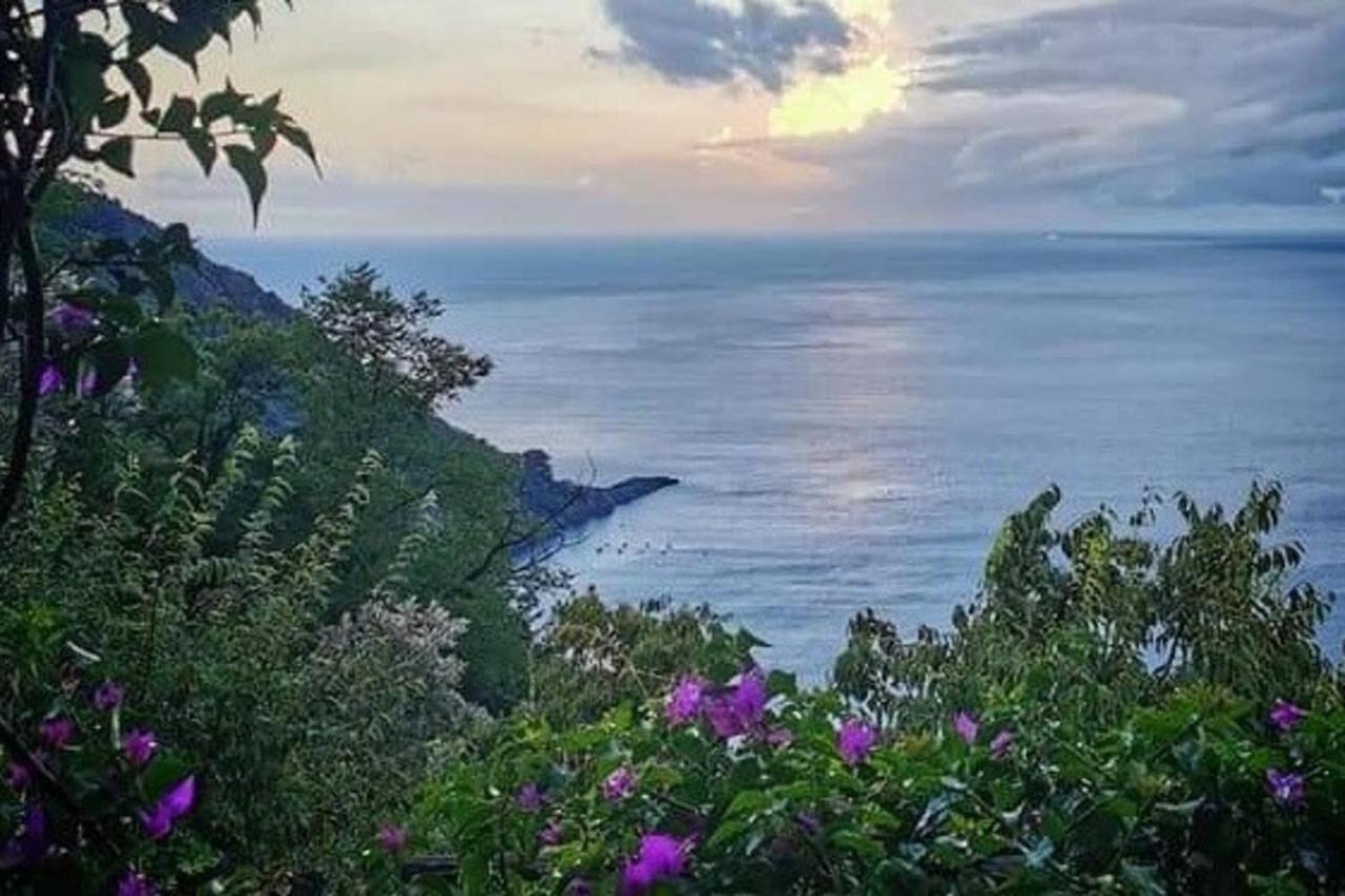 Rosablu Vacanza Tra Mare E Parco Di Portofino Camogli Exterior photo